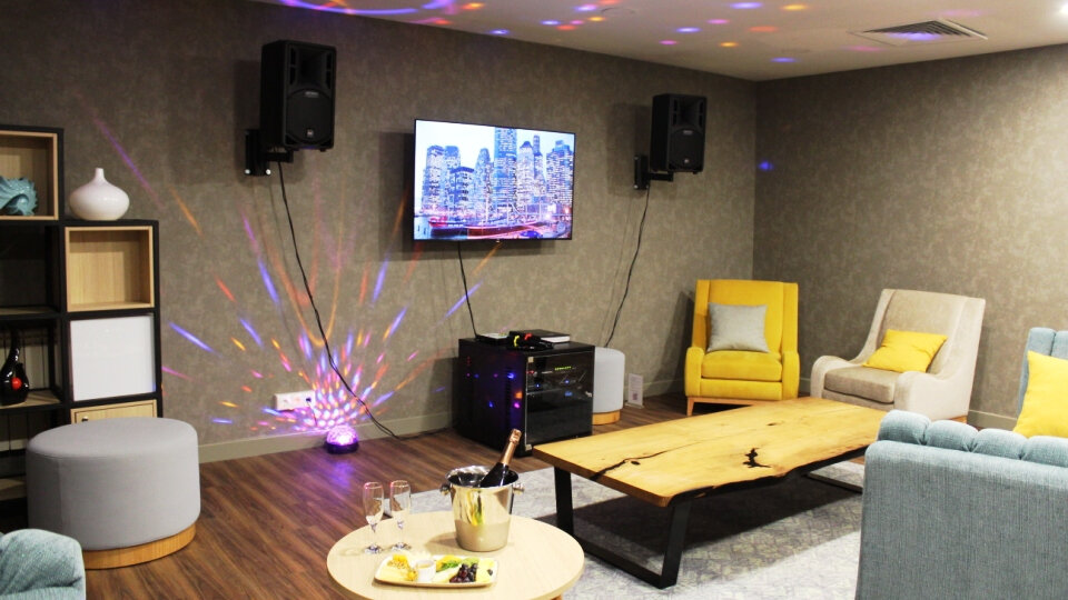 Профессиональное караоке, акустические системы на стене